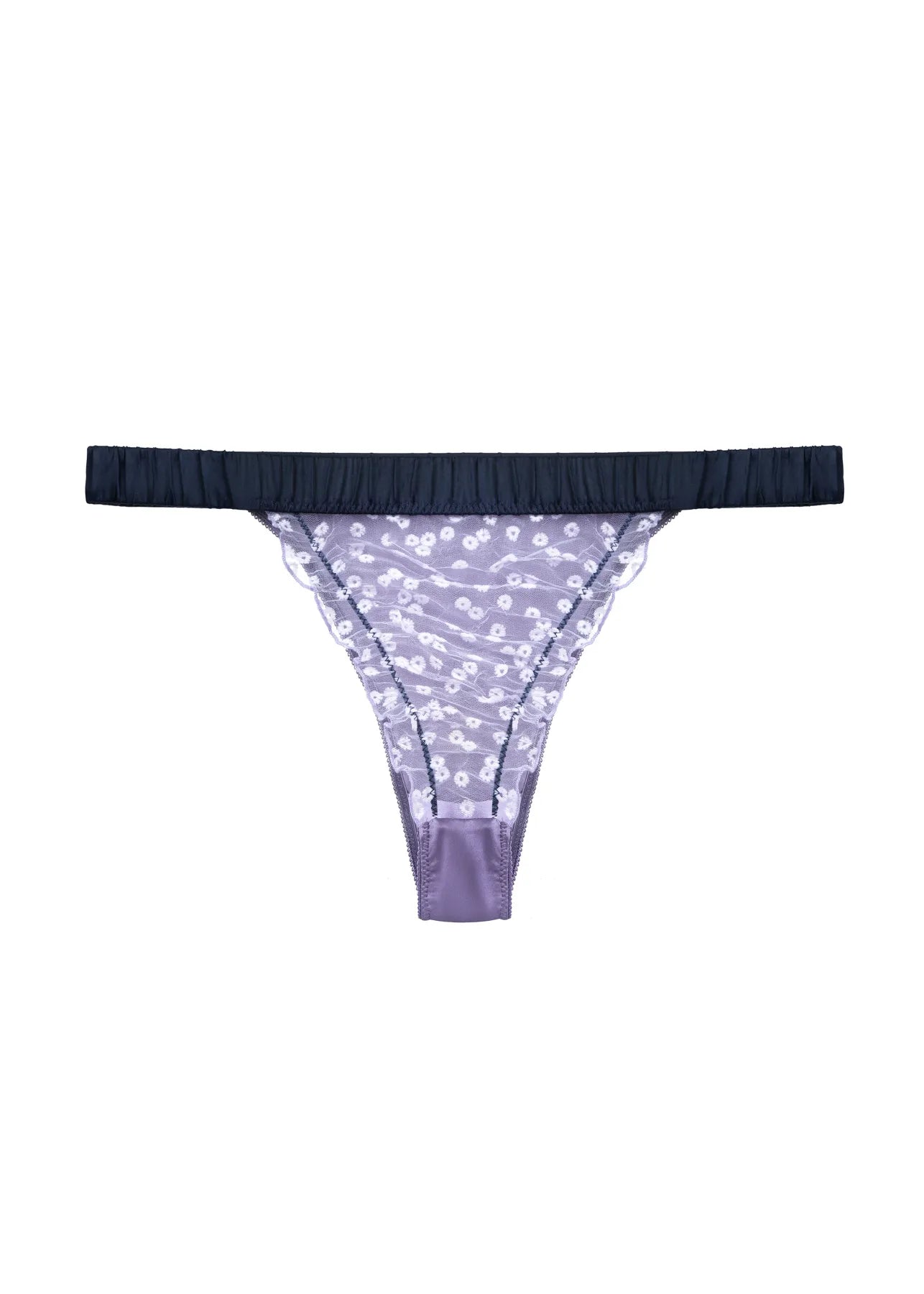 Brazyliany Werbena Multikolor